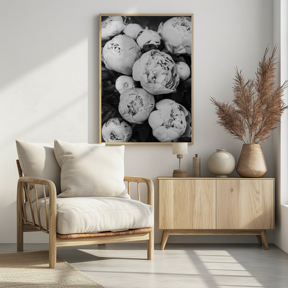Pioenrozen | Poster