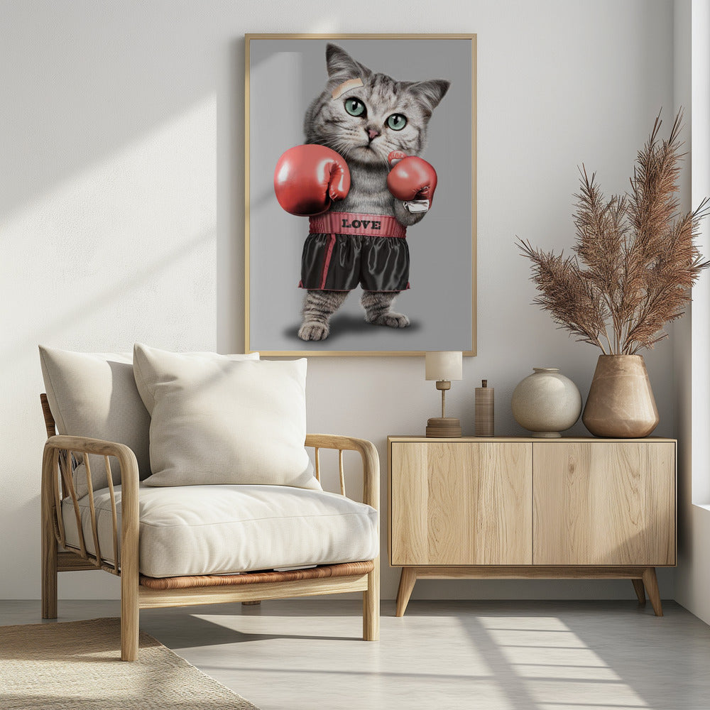 boksende kat | Poster
