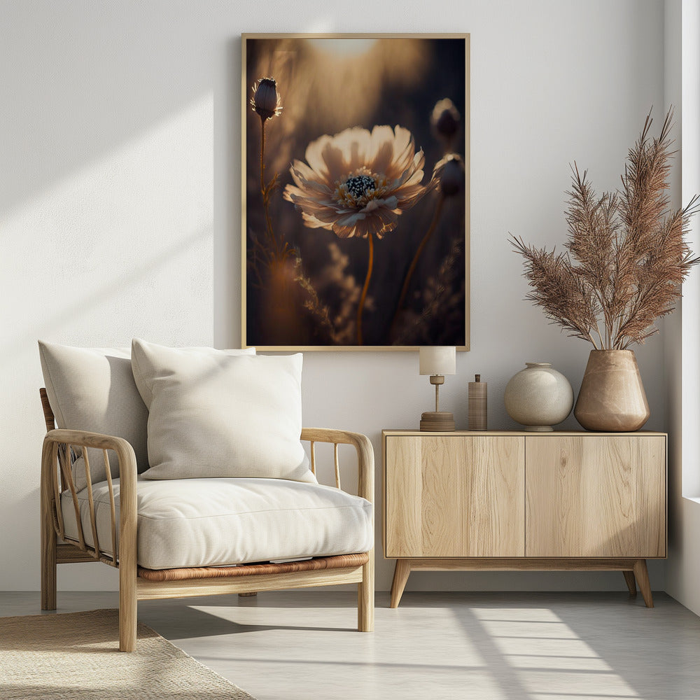 Zonovergoten bloesem | Poster