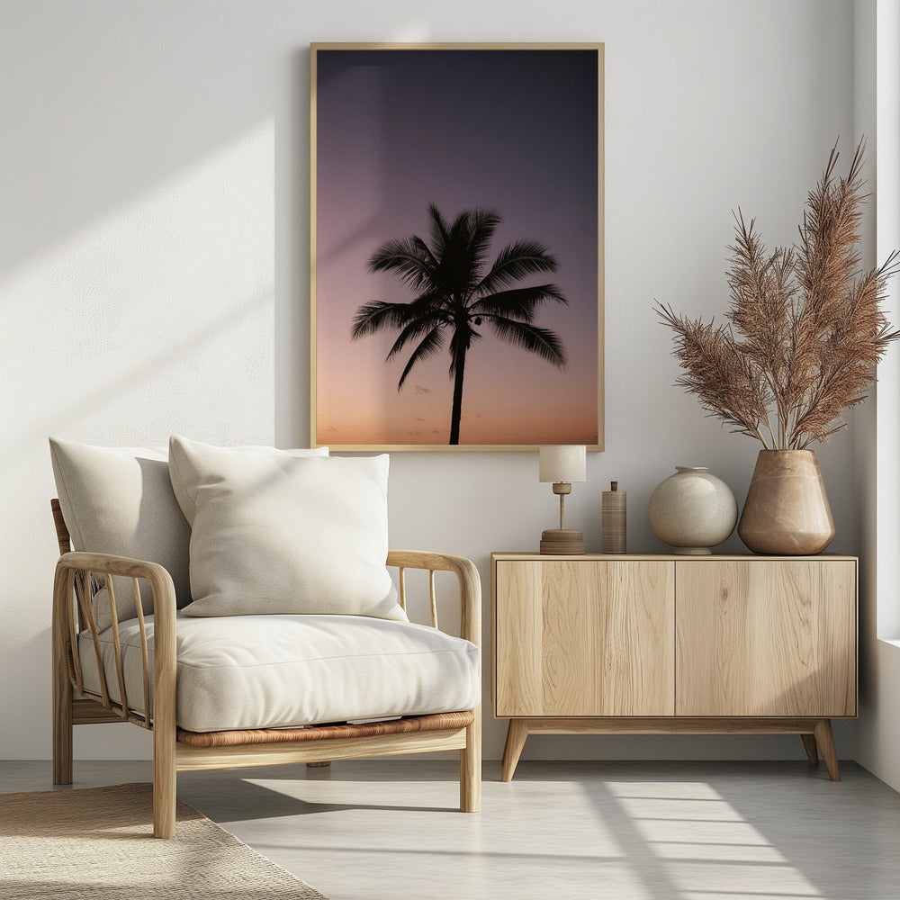 Costa Ricaanse palmboom | Poster