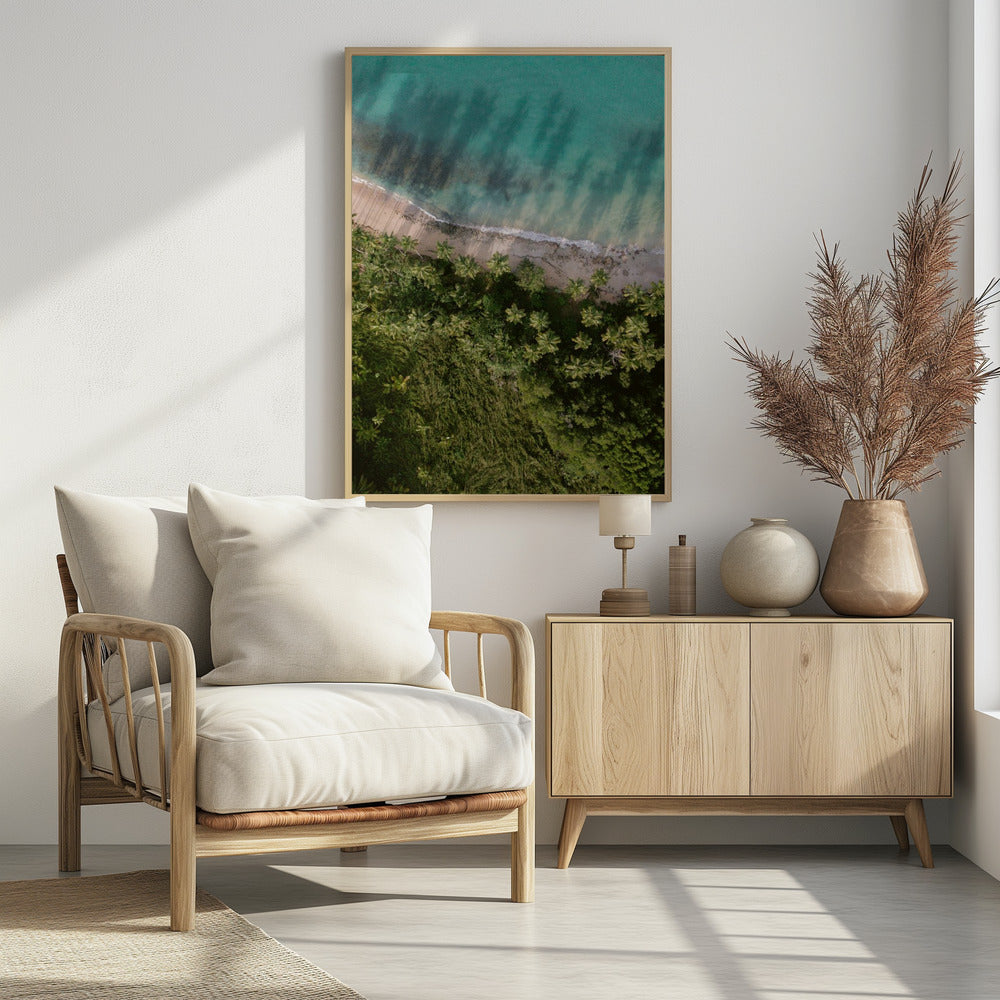 Palm Beach van bovenaf | Poster