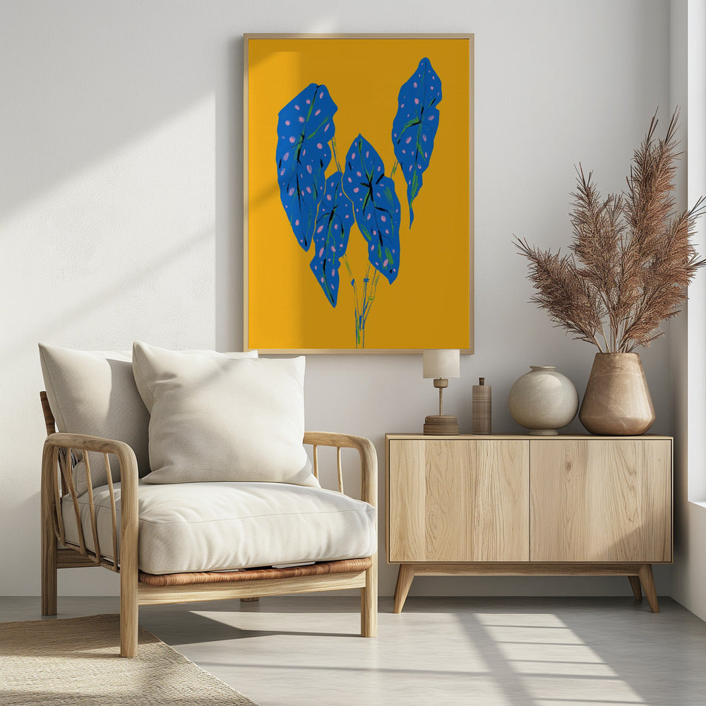 Begonia Maculata Blauw en Geel | Poster