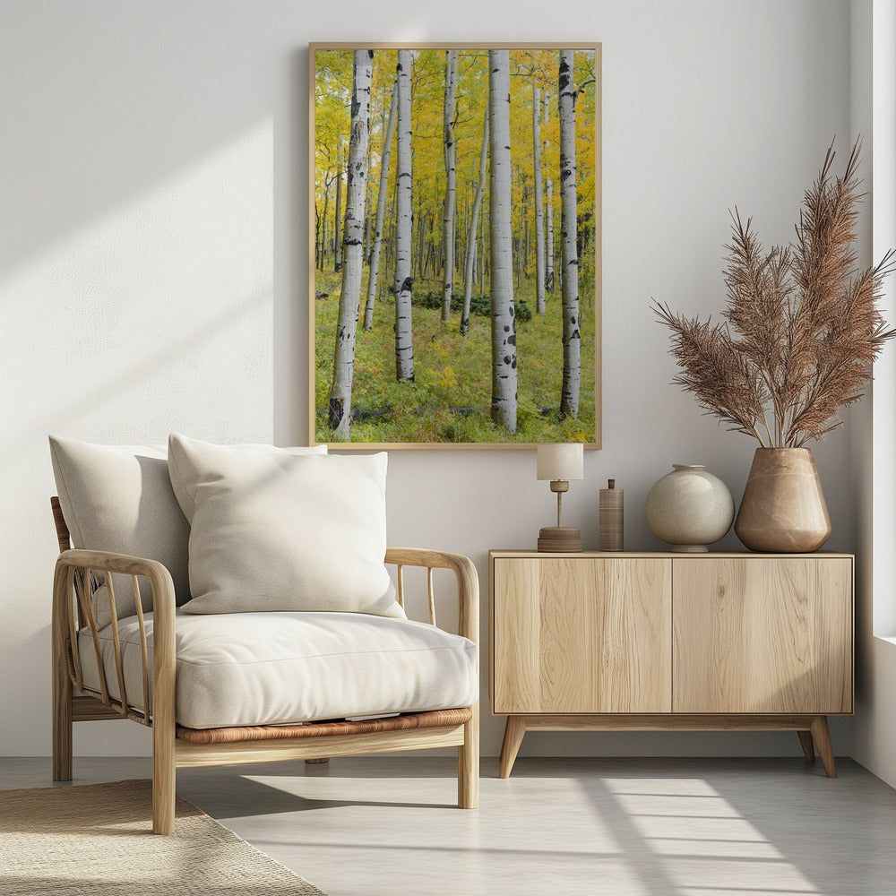 Yellow Birchs vertical | Poster