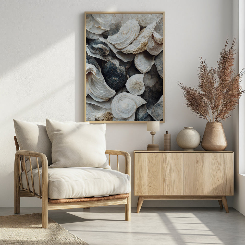 Schelpen en steen | Poster