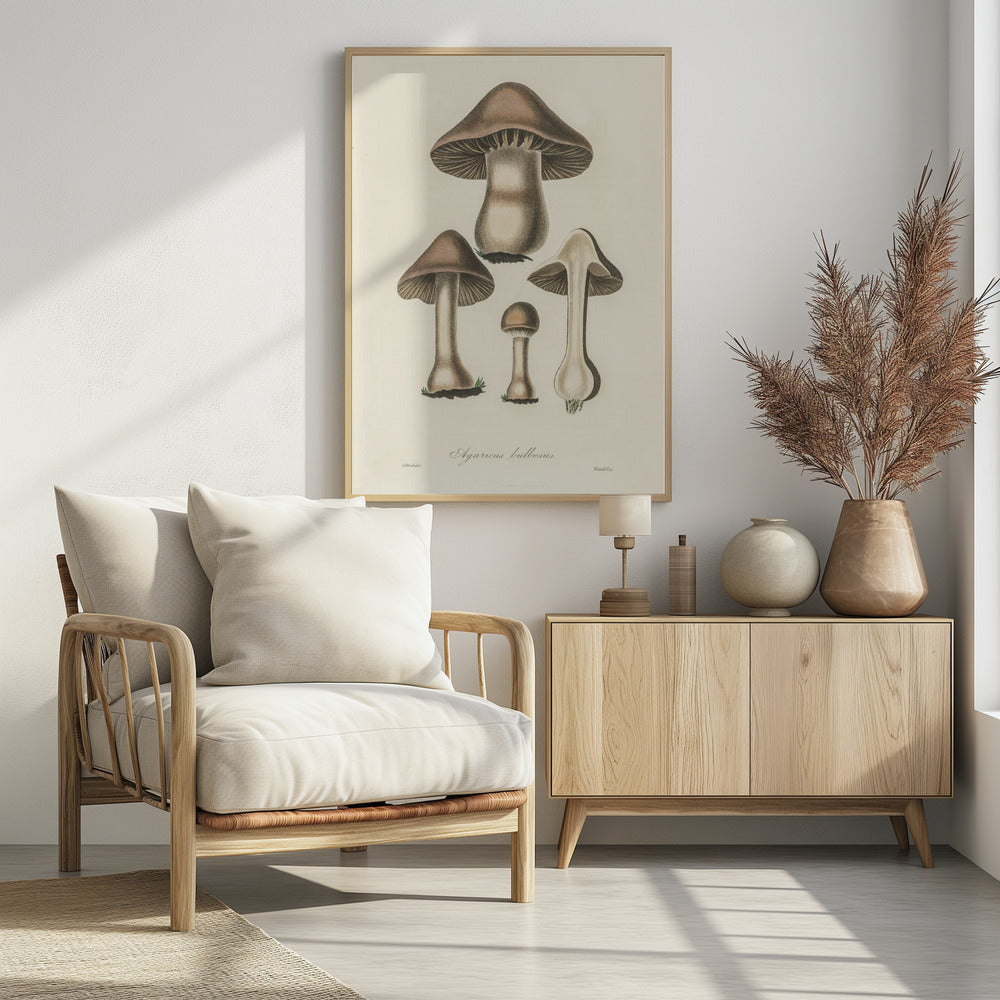 Agaricus Bulbosus Illustration. Medical Botany 1836 | Poster