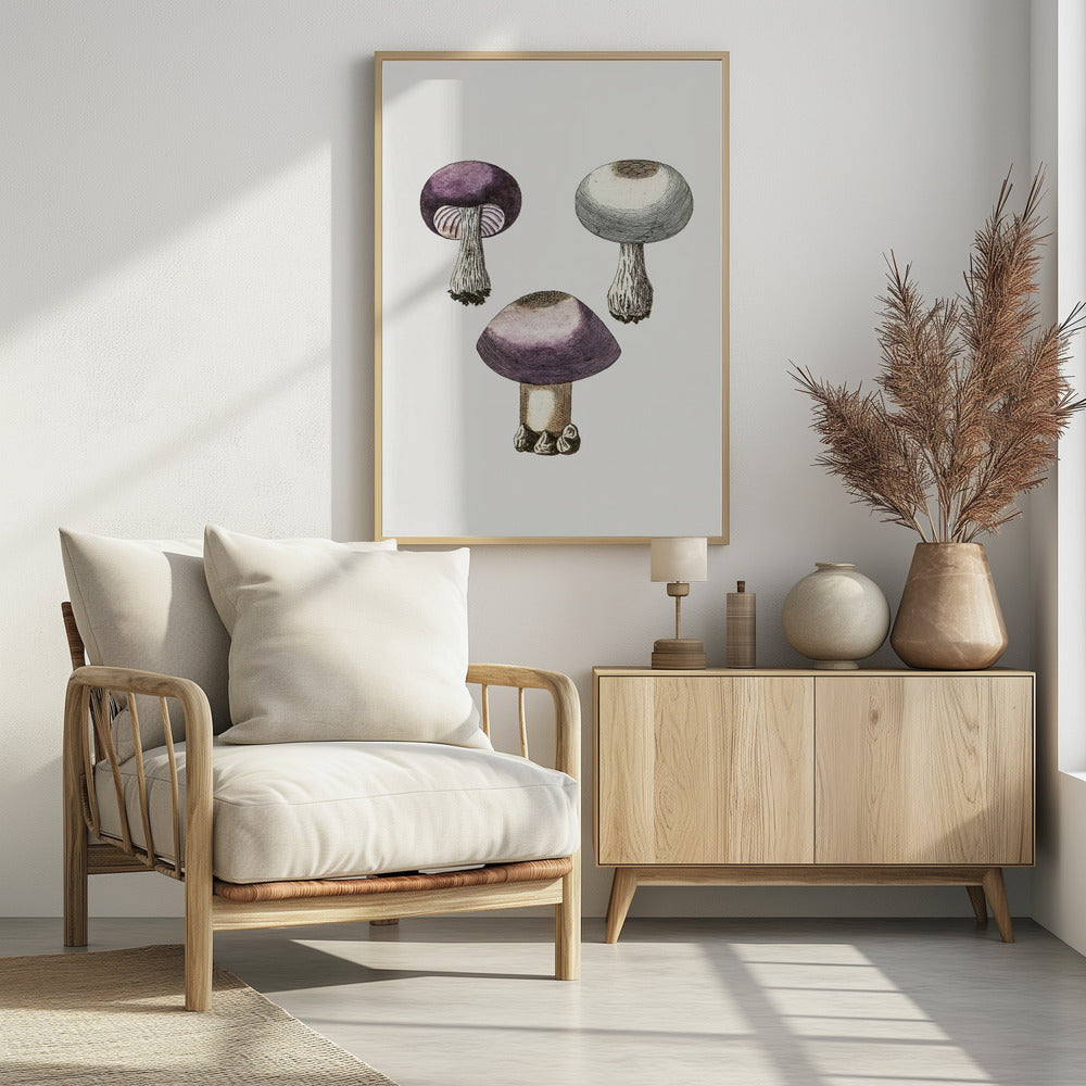 Handdauw Violet Webcap Paddenstoel | Poster