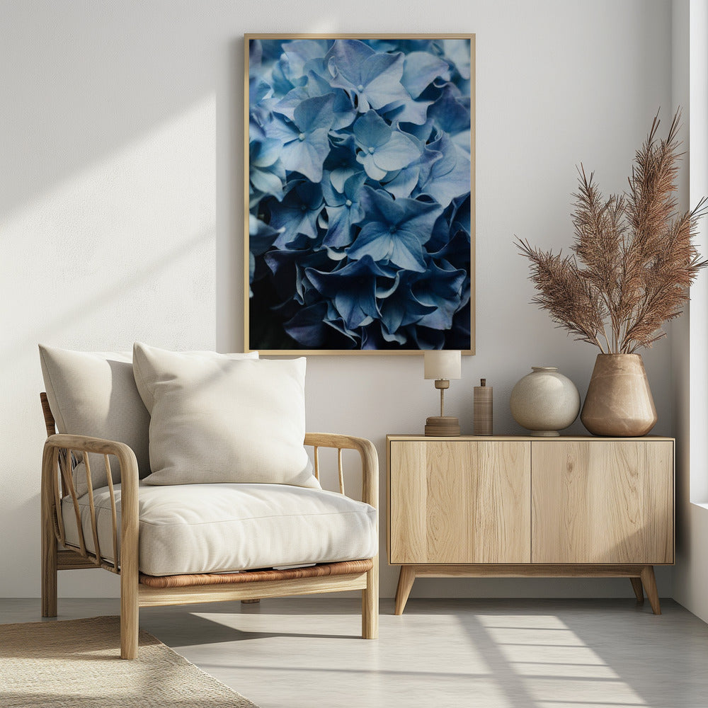 Vibrant Blue Hydrangeas | Poster