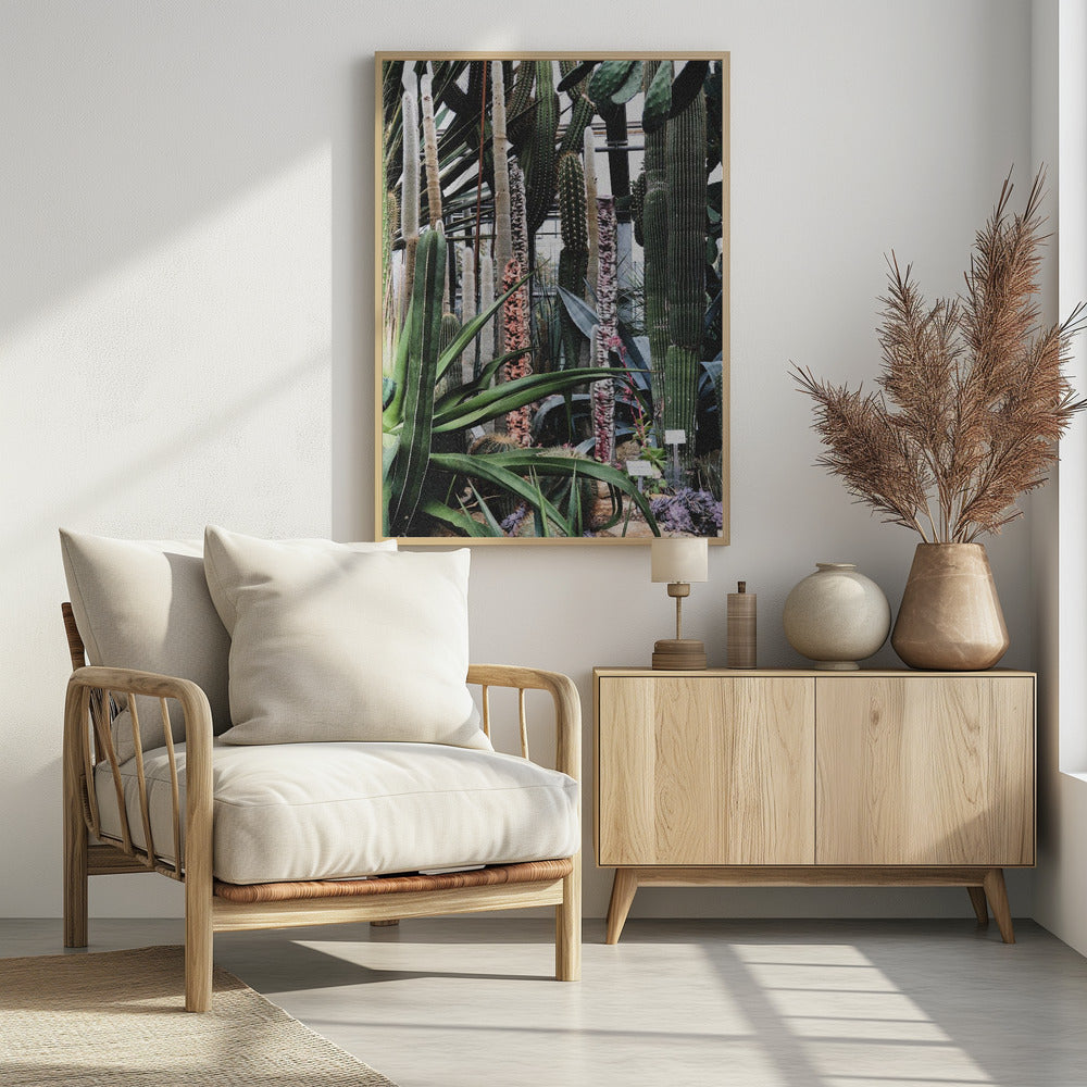 Cactusreservaat | Poster