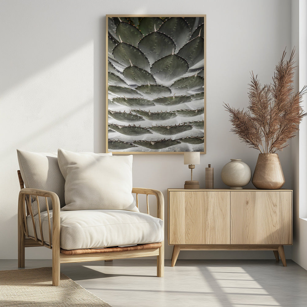 Spiral Succulent | Poster