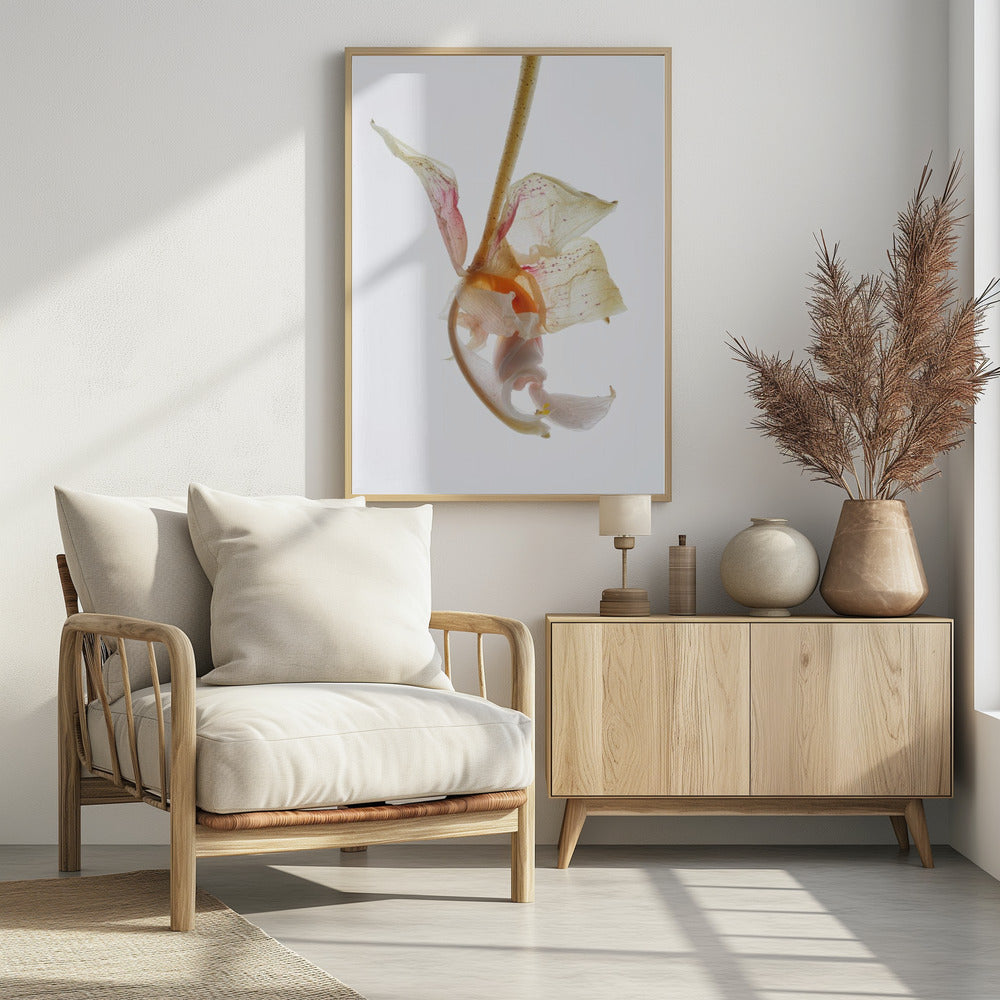 Bloemblaadjessymfonie | Poster
