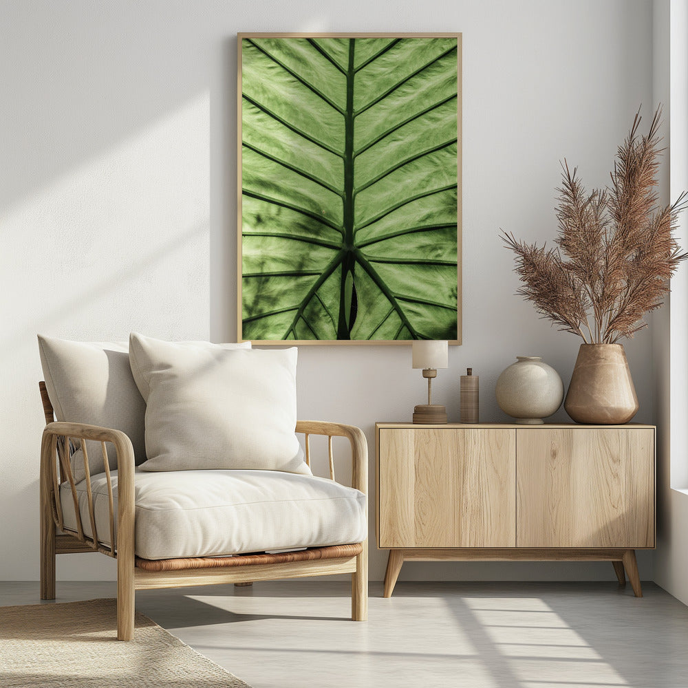 Leaf Vein Symphony | Poster