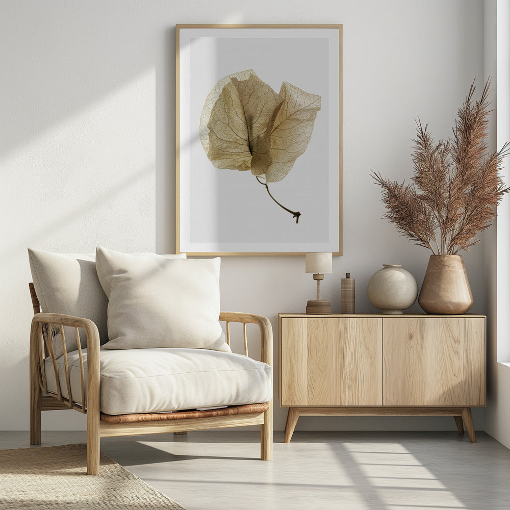 Fijne bladnerven | Poster