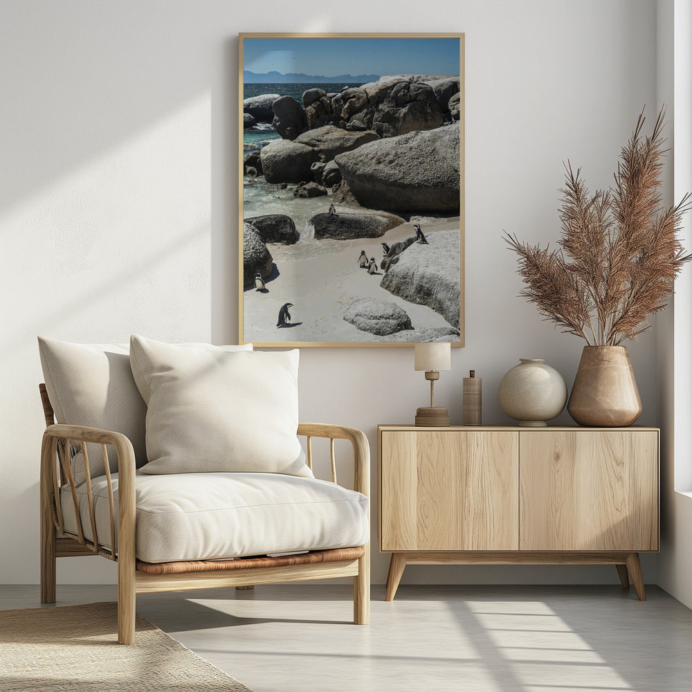 Pinguïnbaai Sereniteit | Poster