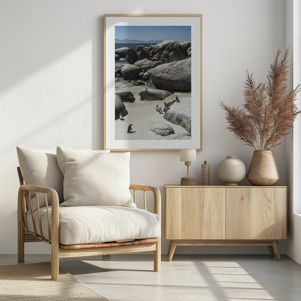 Kustwandeling van pinguïns | Poster