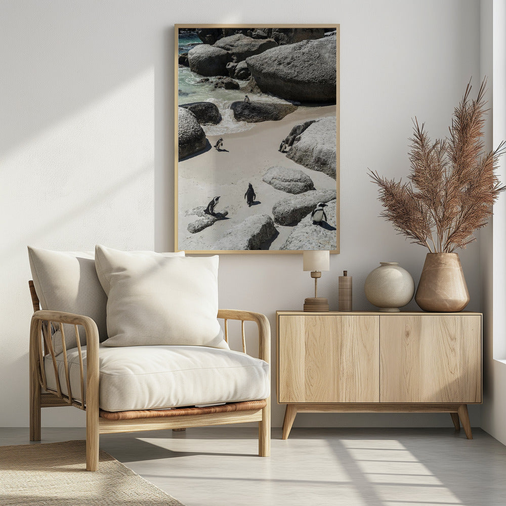 Pinguïnstrandwandeling | Poster