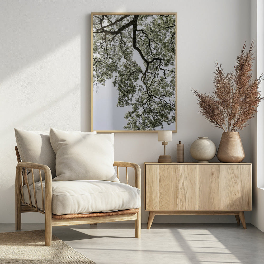 Ethereal Canopy | Poster