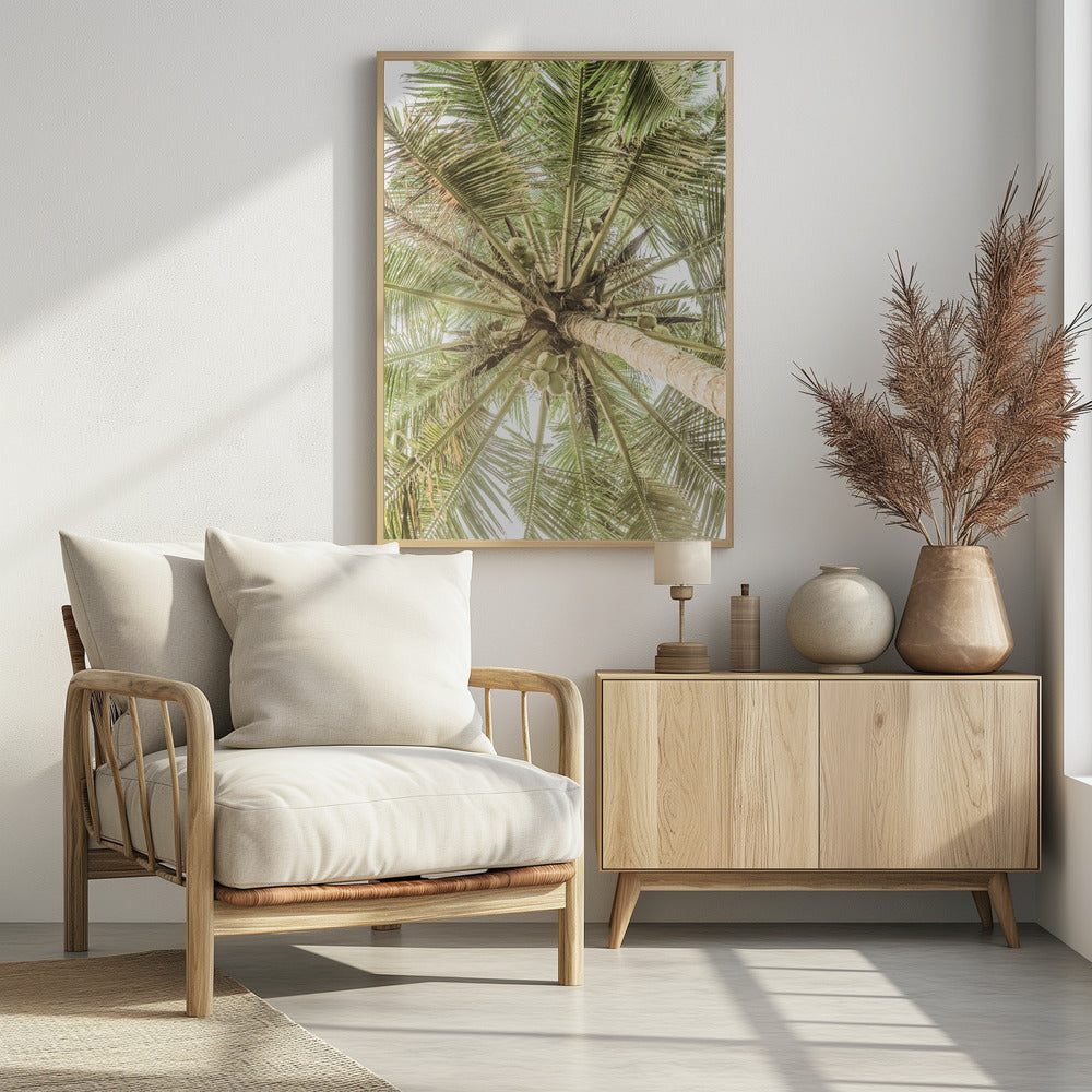 Coconut Canopy | Poster