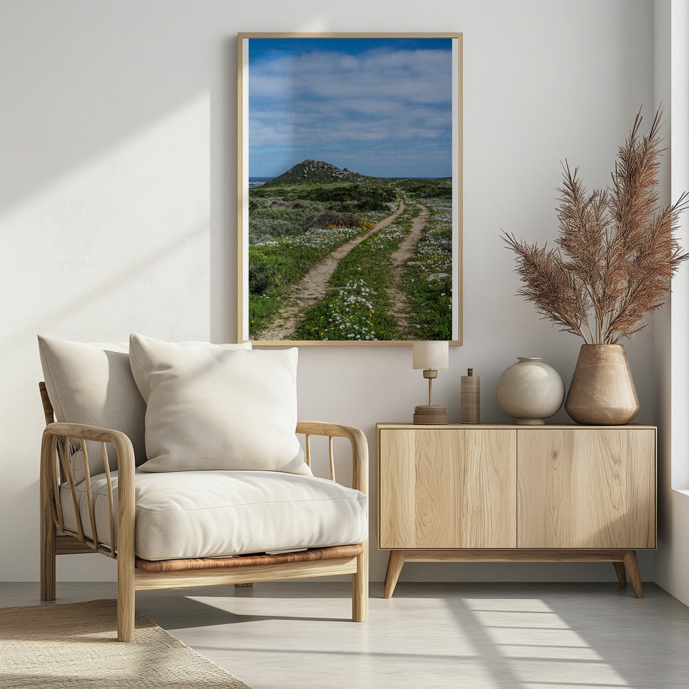 Pathway to Serenity | Poster