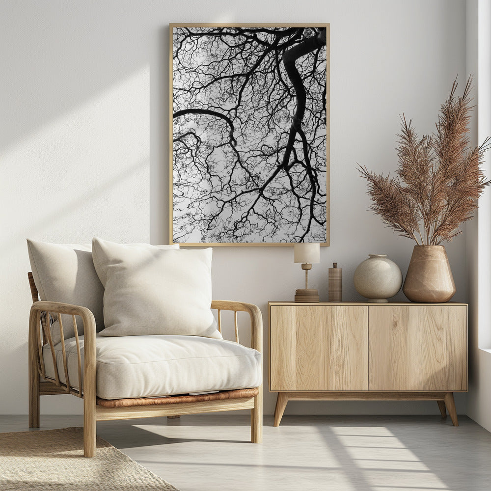Branches' Dance | Poster