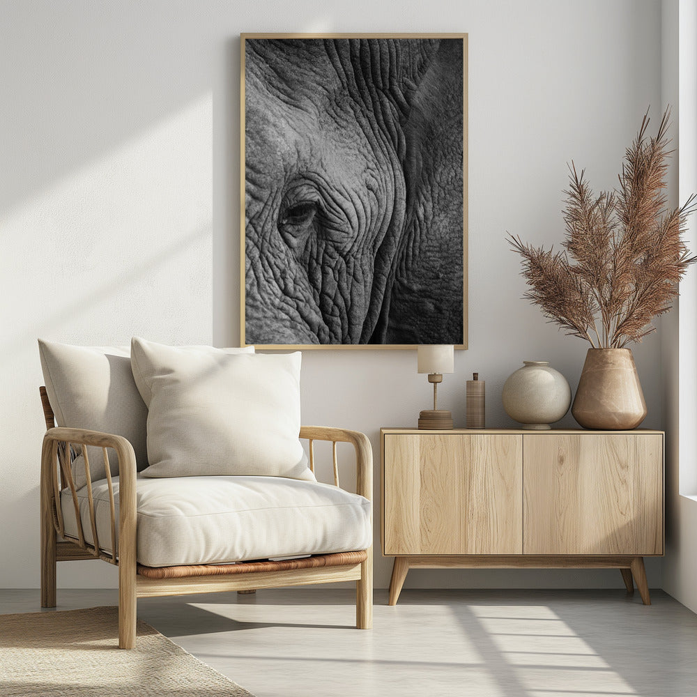 Wisdom's Wrinkles | Poster