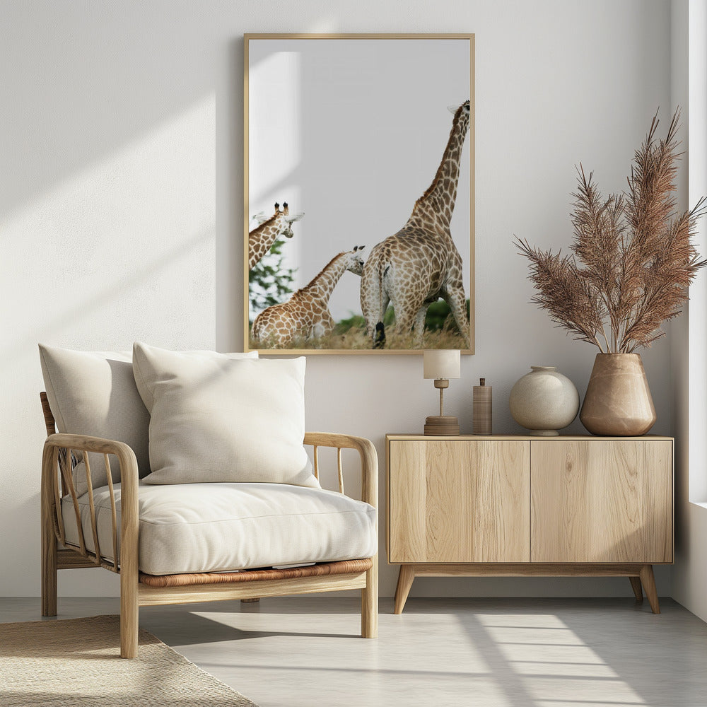 Giraffenwandeling | Poster