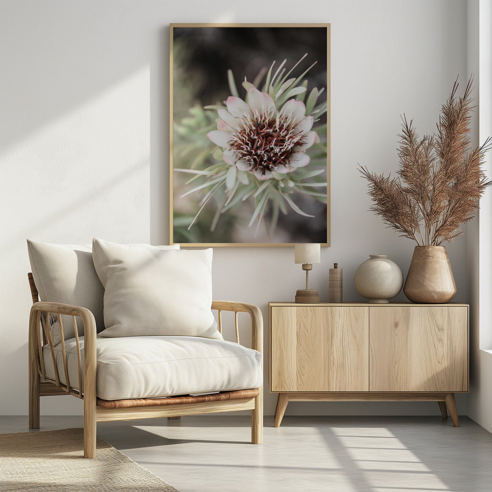 Woestijnbloei Halo | Poster