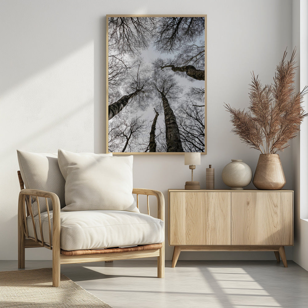 Winter's Embrace | Poster