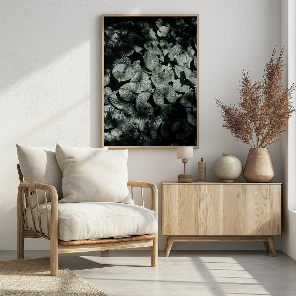 Bladschaduwen | Poster