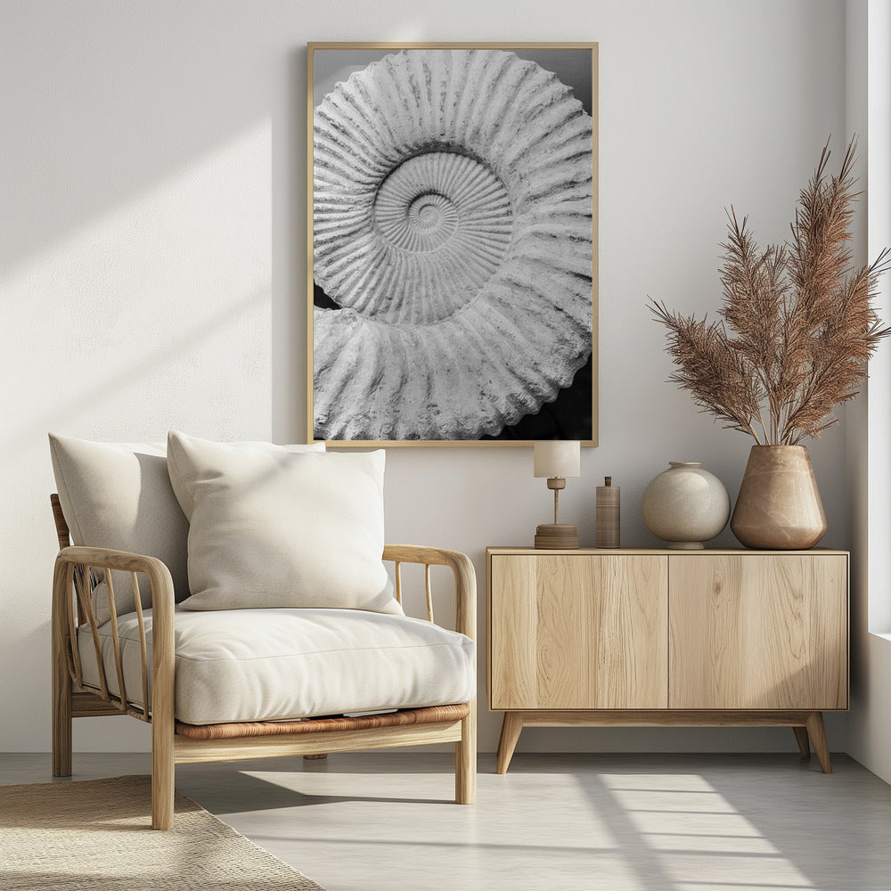 Ancient Spiral Dreams | Poster