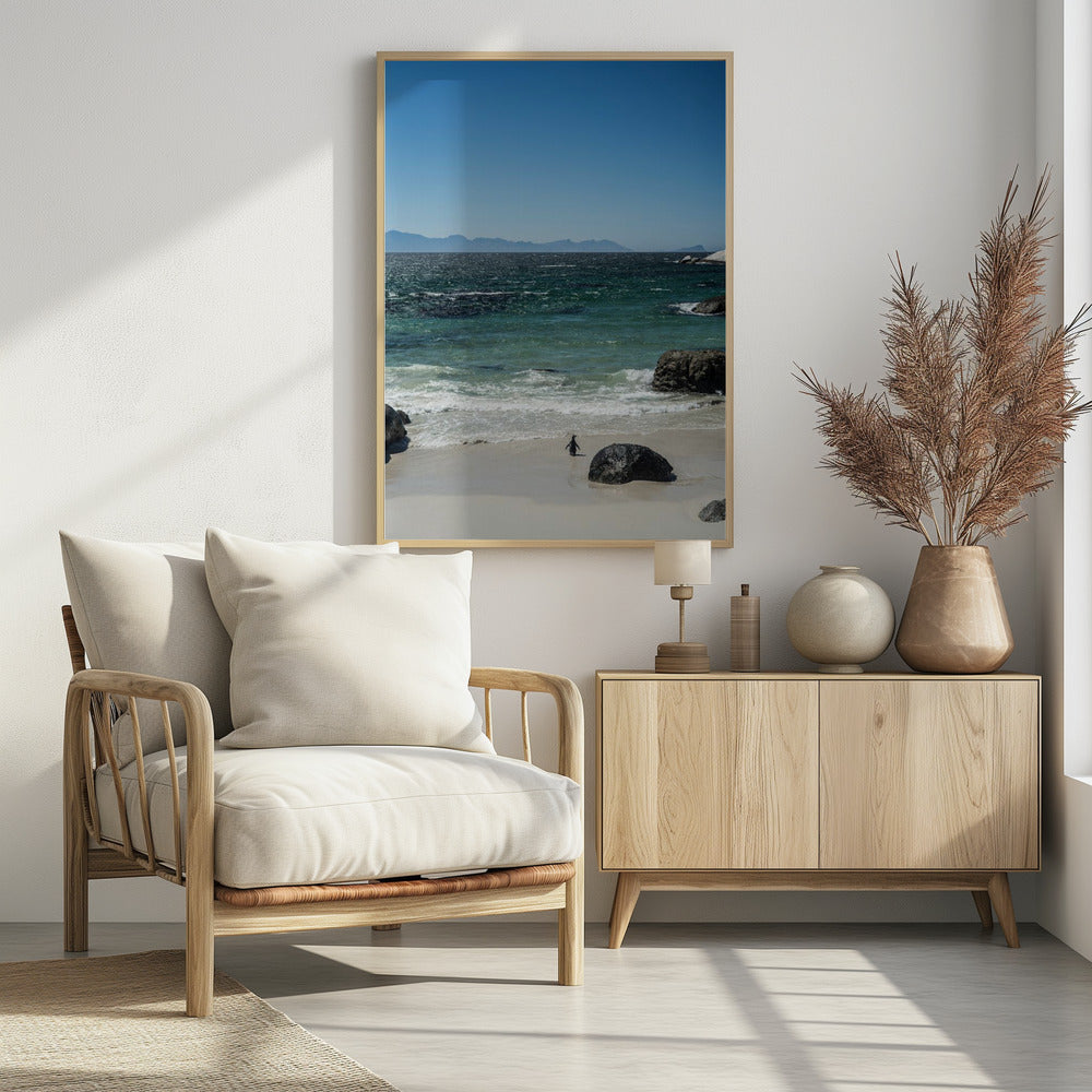 Pinguïnstrandwandeling | Poster