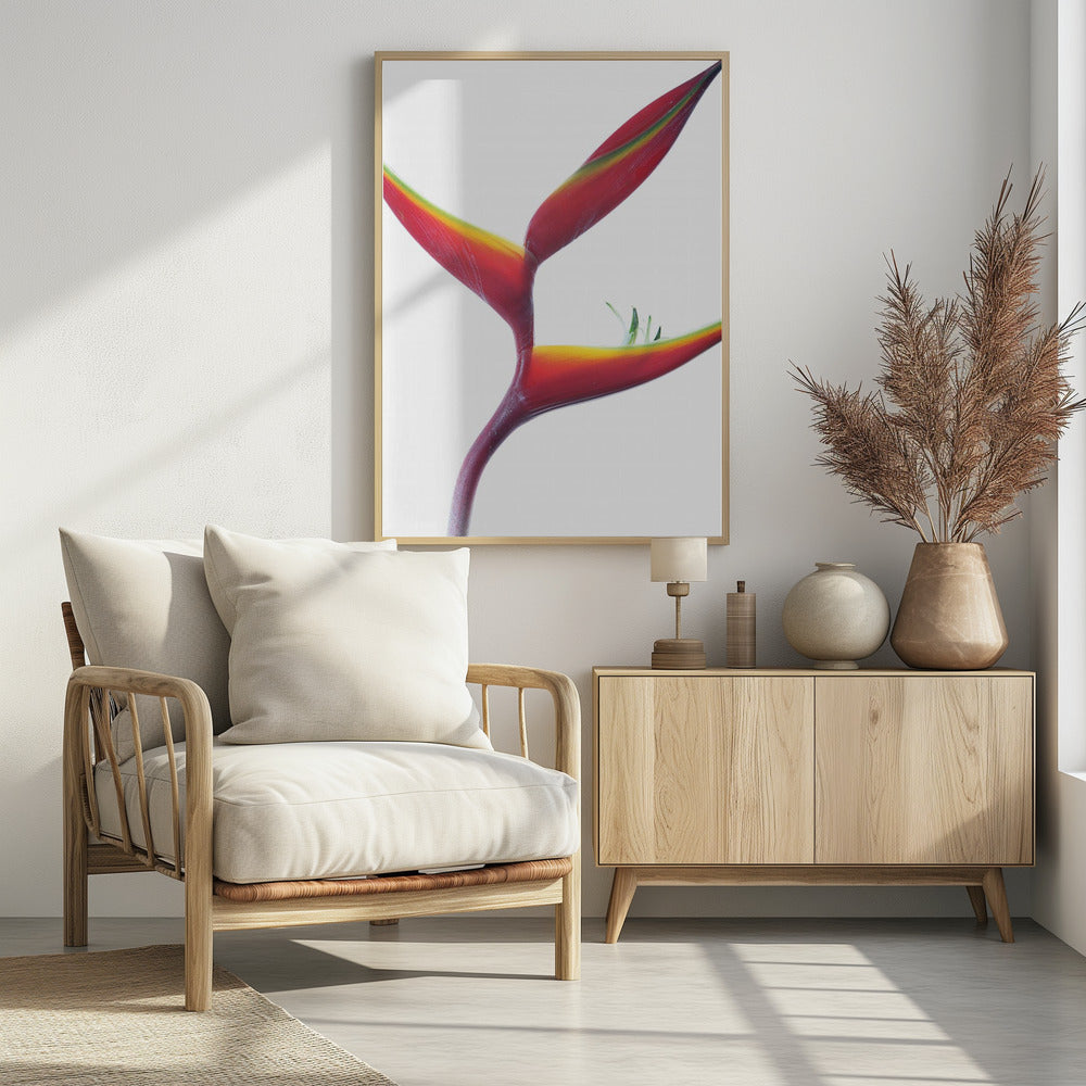 Tropische elegantie | Poster