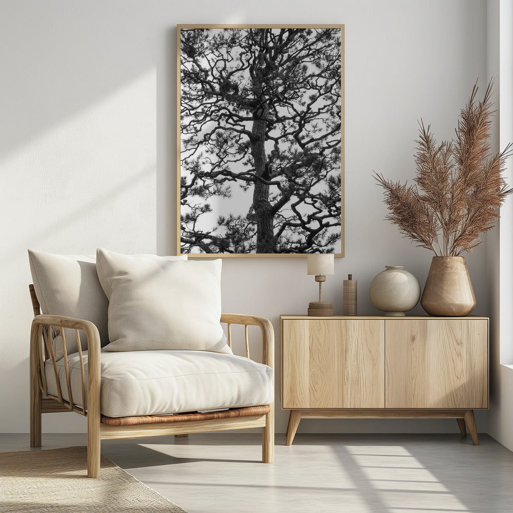 Silhouet van een draaiende boom | Poster
