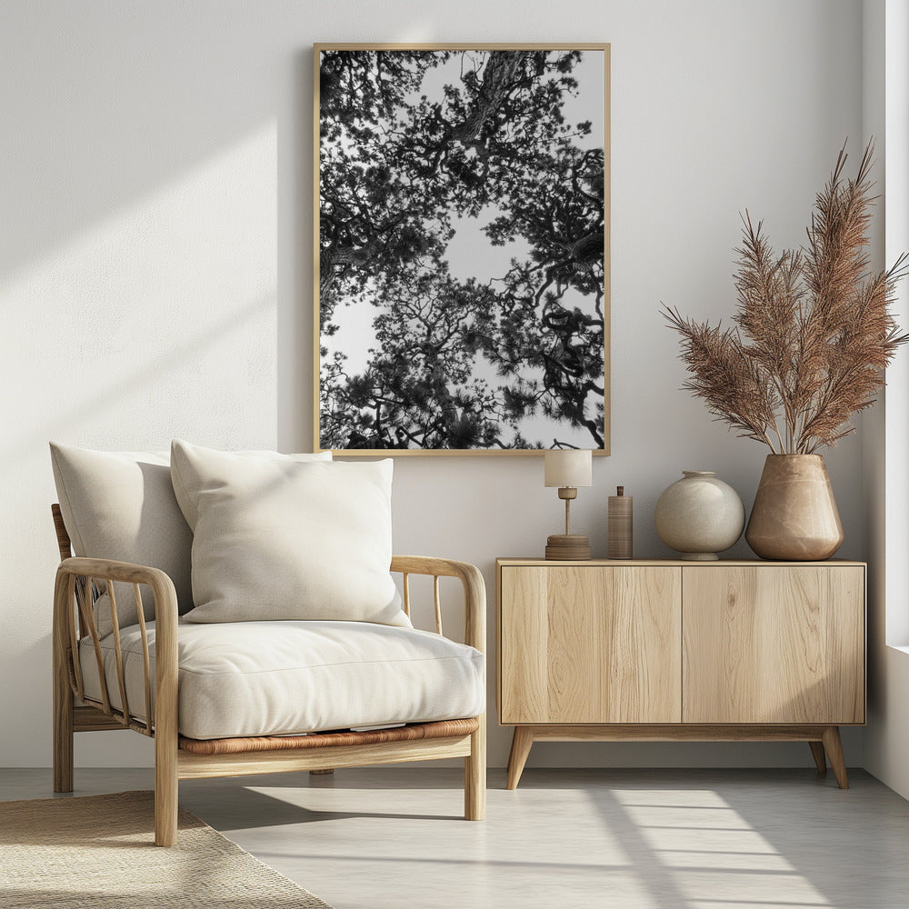 Luifelsymfonie | Poster