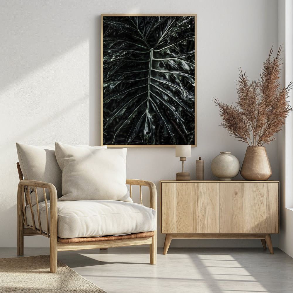 Donkere blad elegantie | Poster