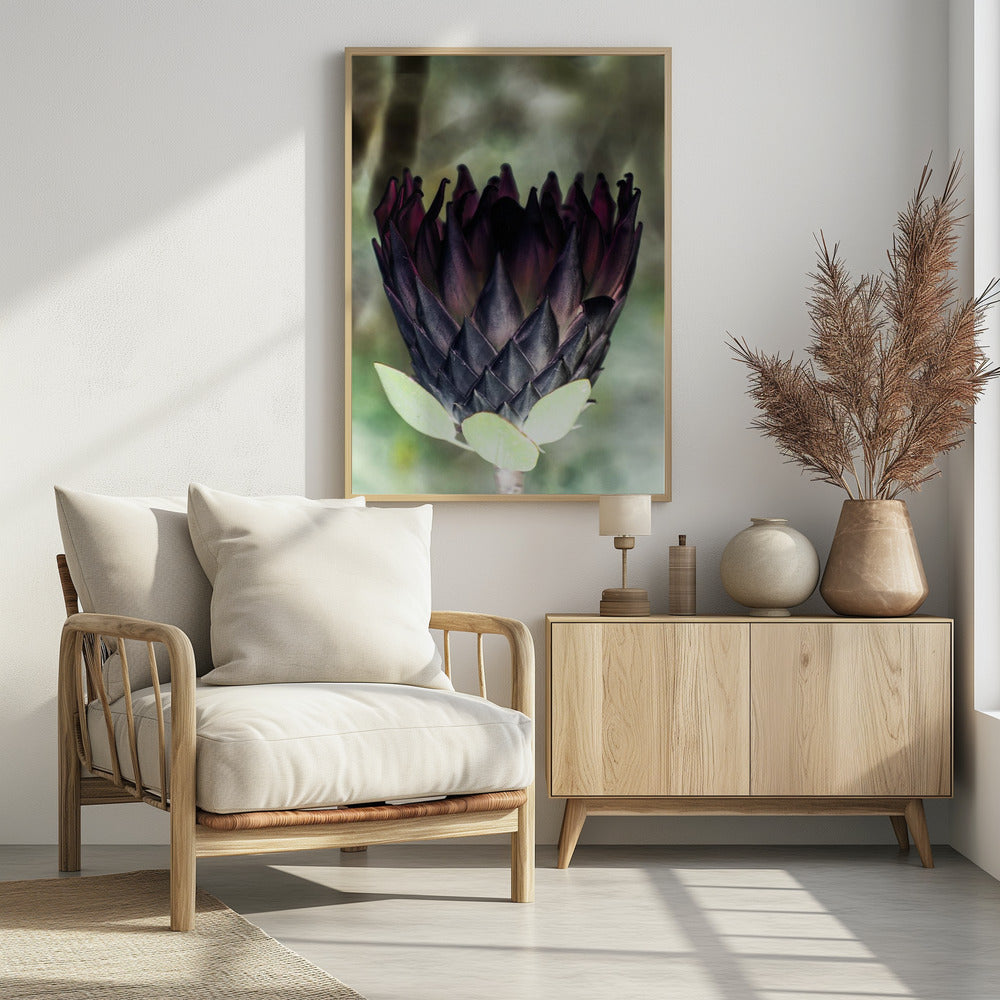 Schaduwrijke Bloesem | Poster