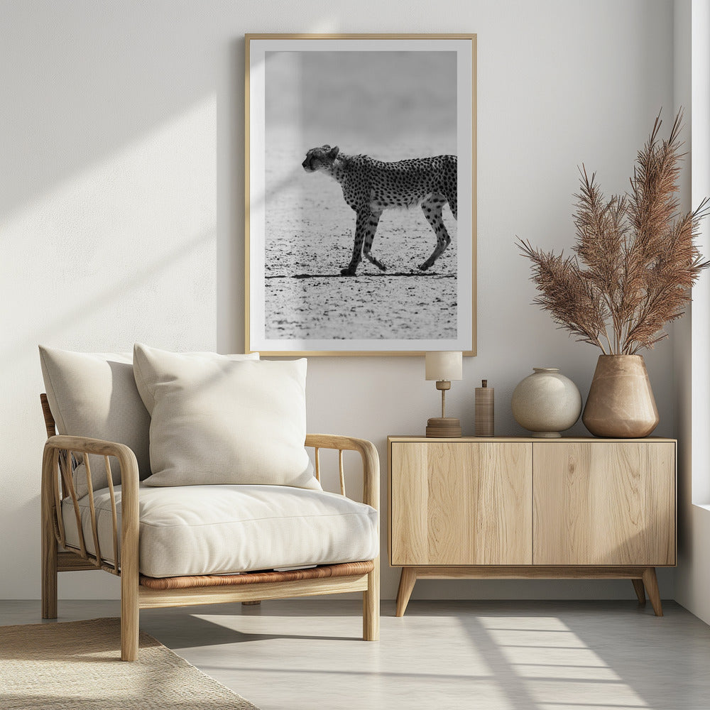 Cheetah's Stride | Poster