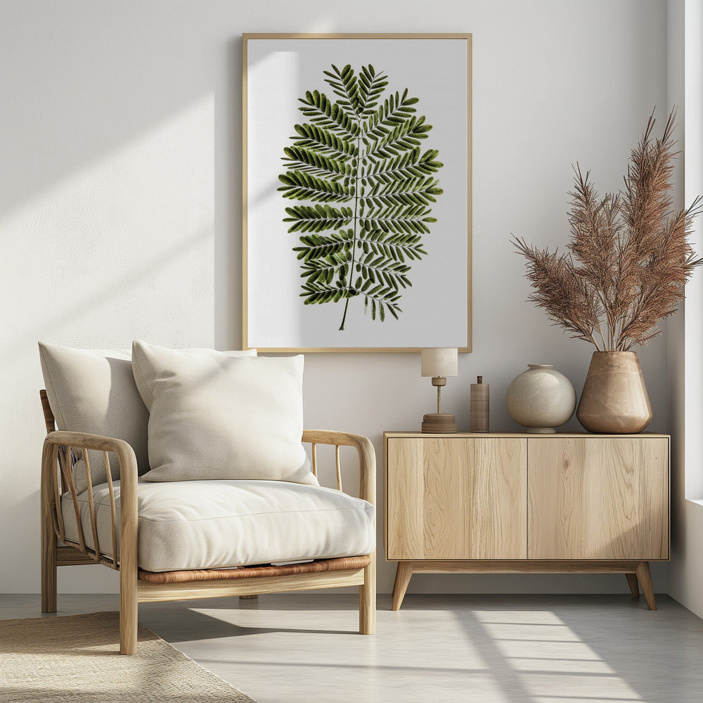 Fern's Symphony | Poster