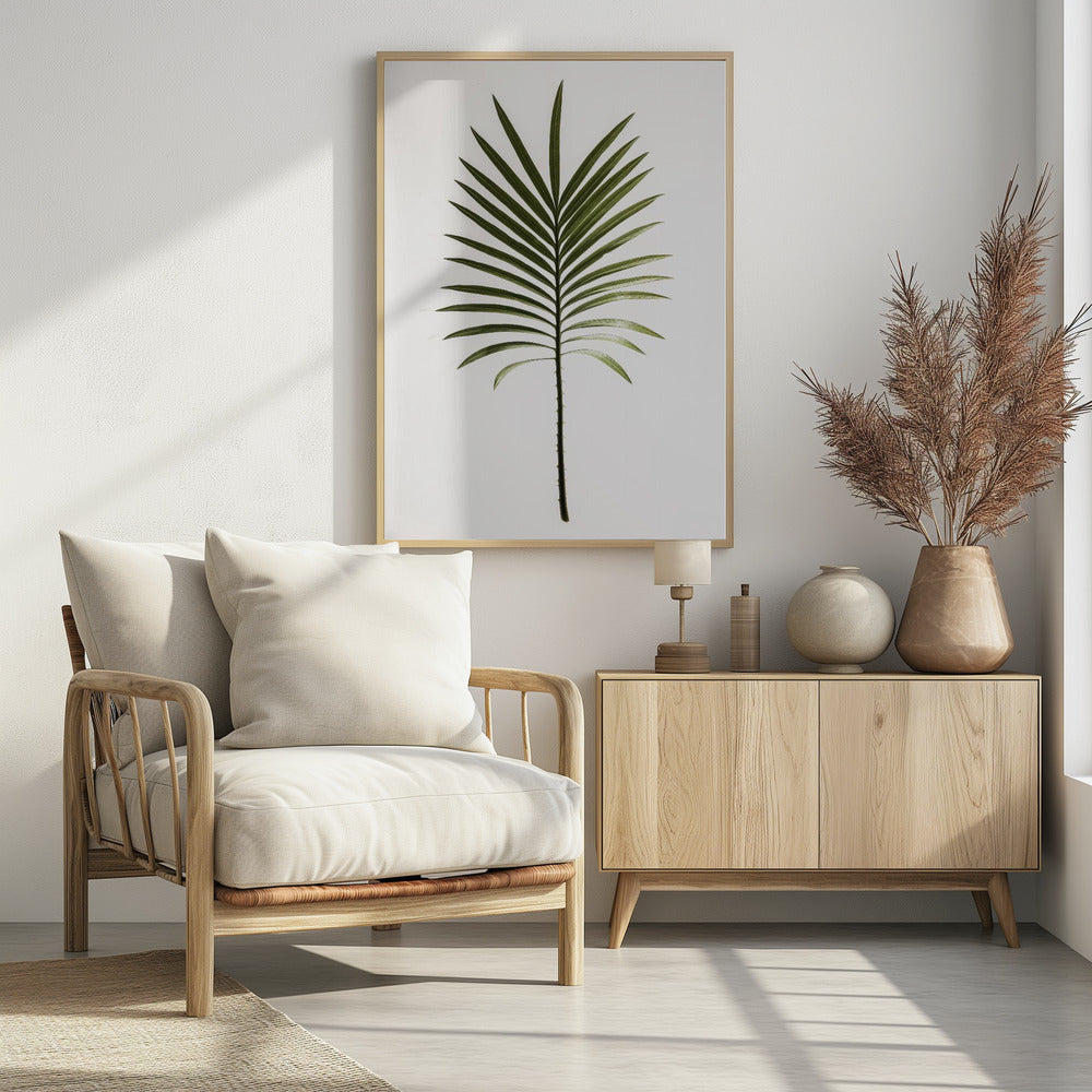 Groene varen | Poster