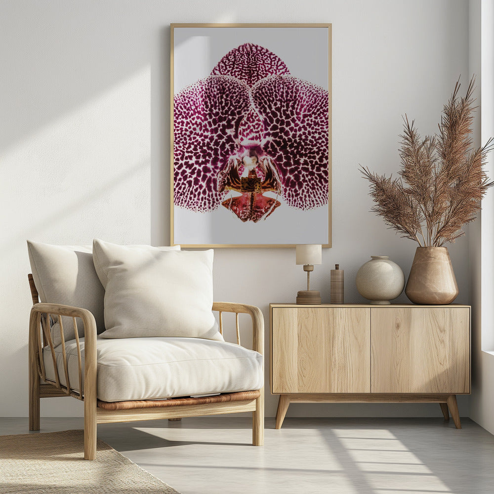 Bloemblaadjessymmetrie-uitbarsting | Poster