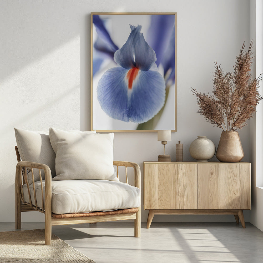 Bloesem Fluister | Poster