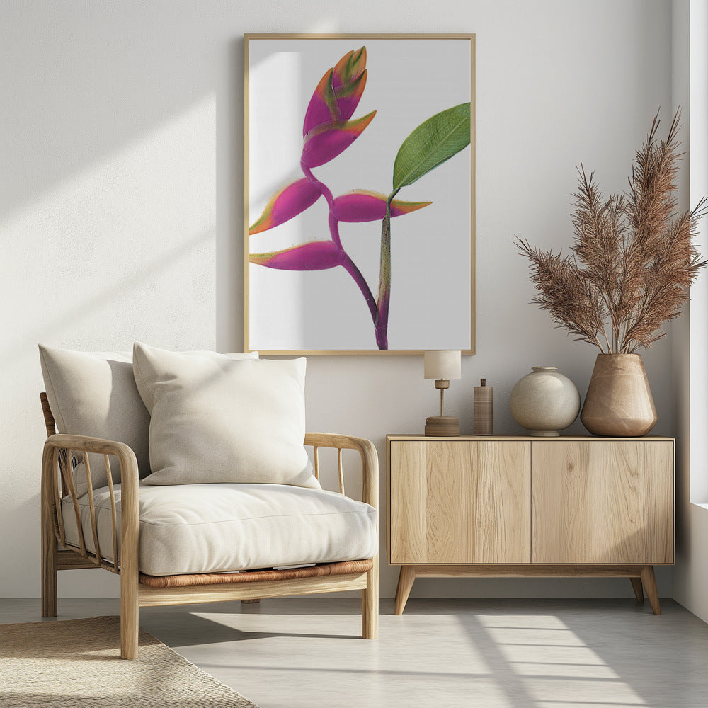 Tropische elegantie | Poster