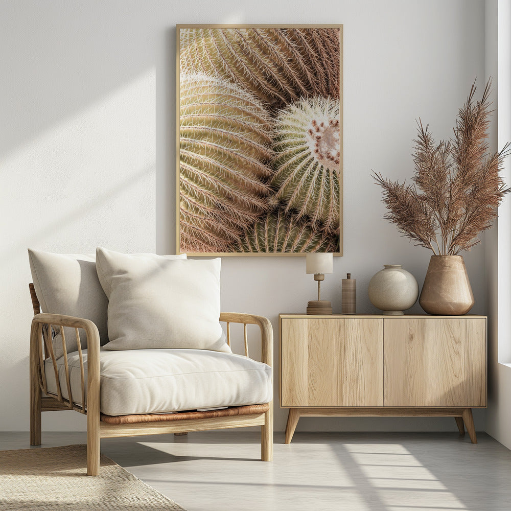 Spiral of Spines | Poster