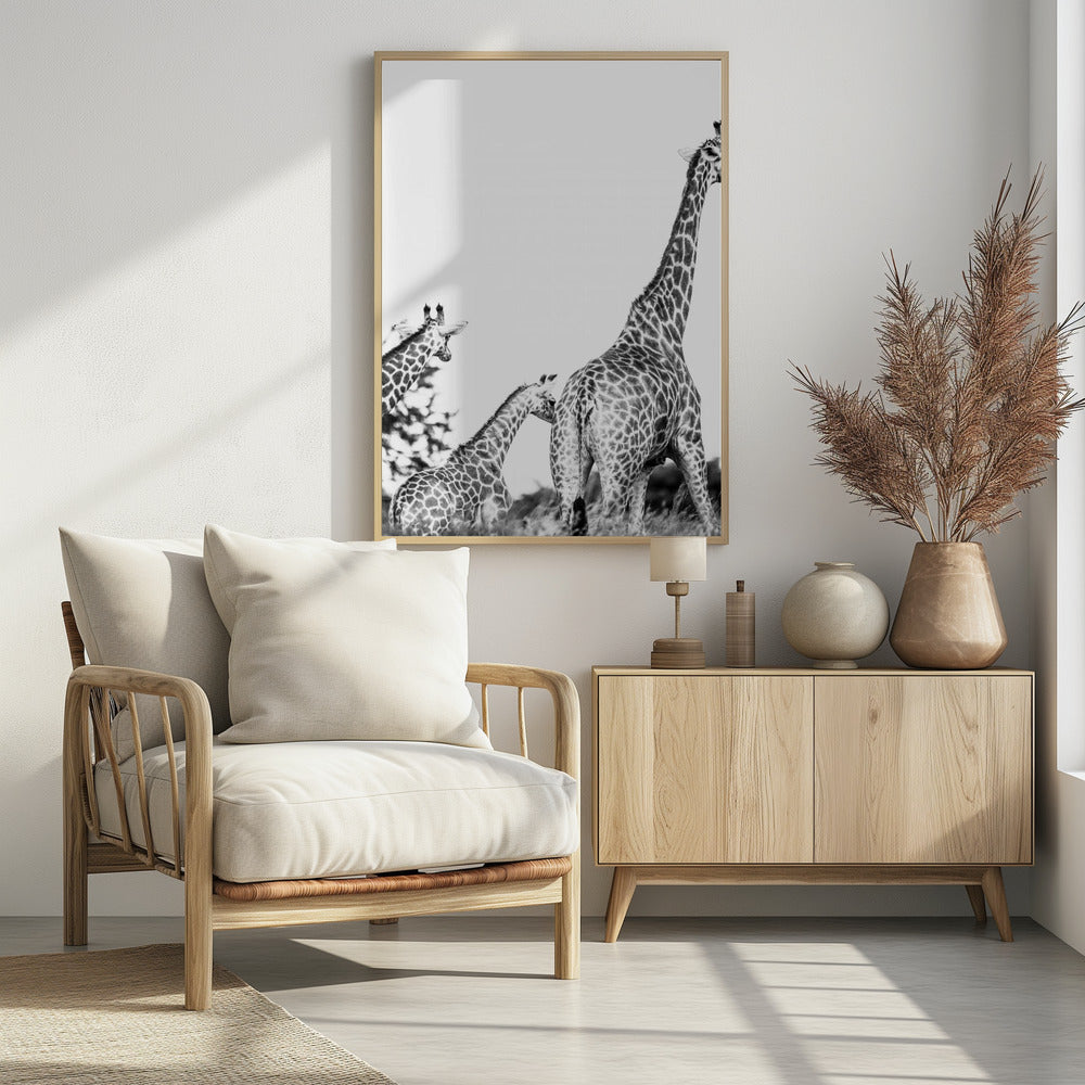 Wandeling met giraffenfamilie | Poster