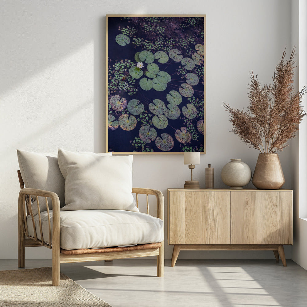 Lelie Sereniteit | Poster