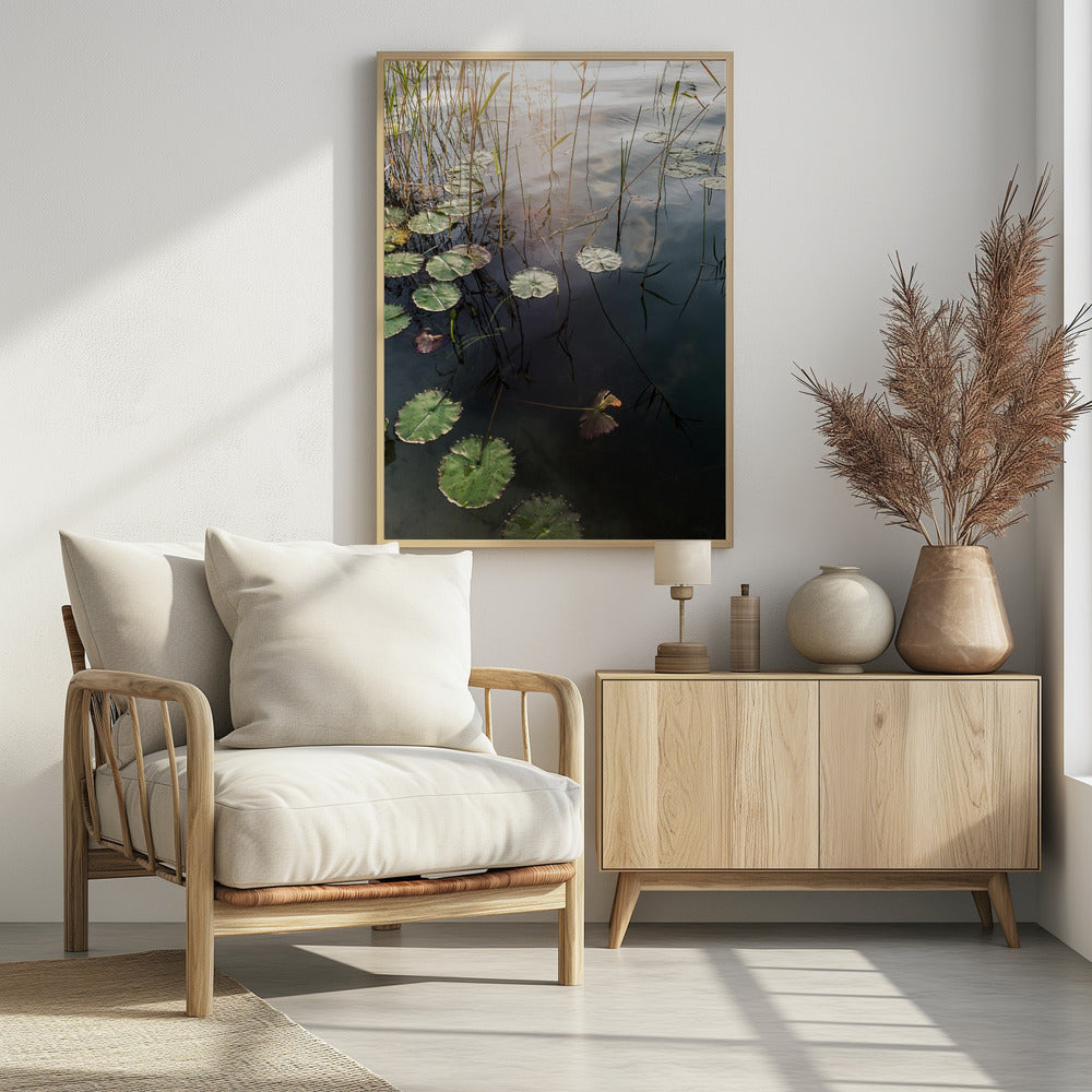 Lily's Tranquil Dawn | Poster