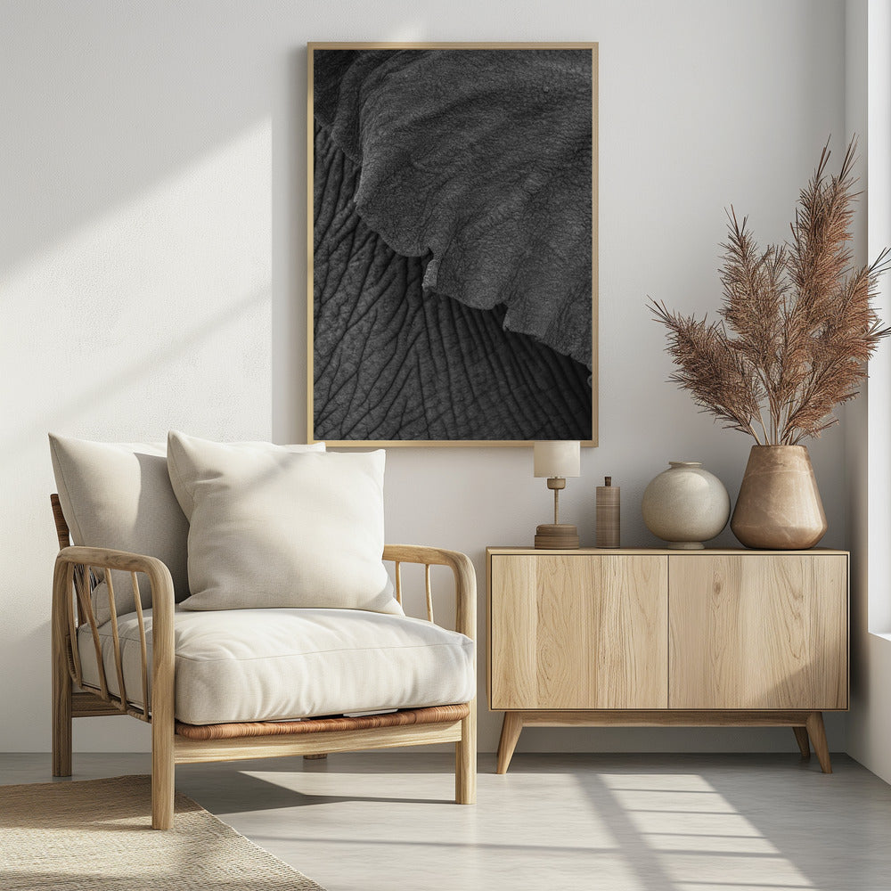 Wrinkles of Time | Poster