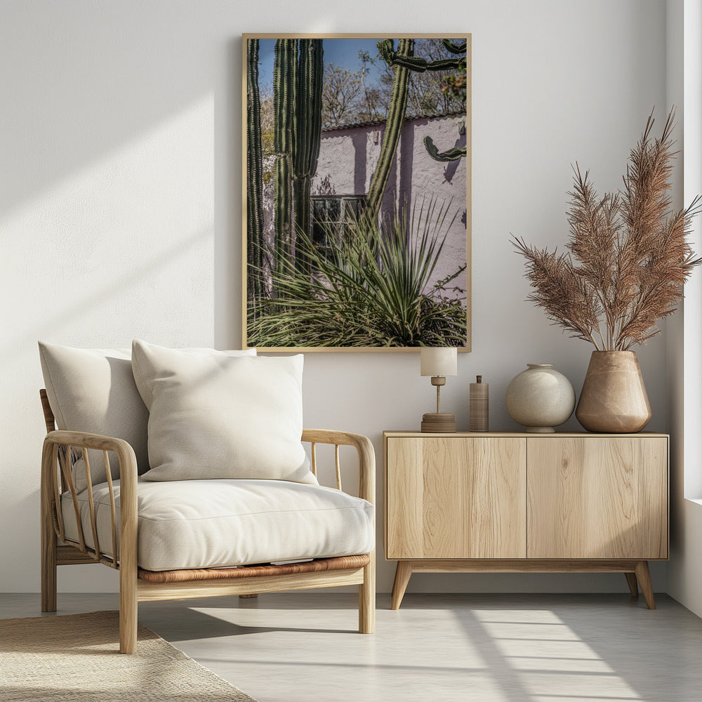 Cactus & Roze Muur | Poster