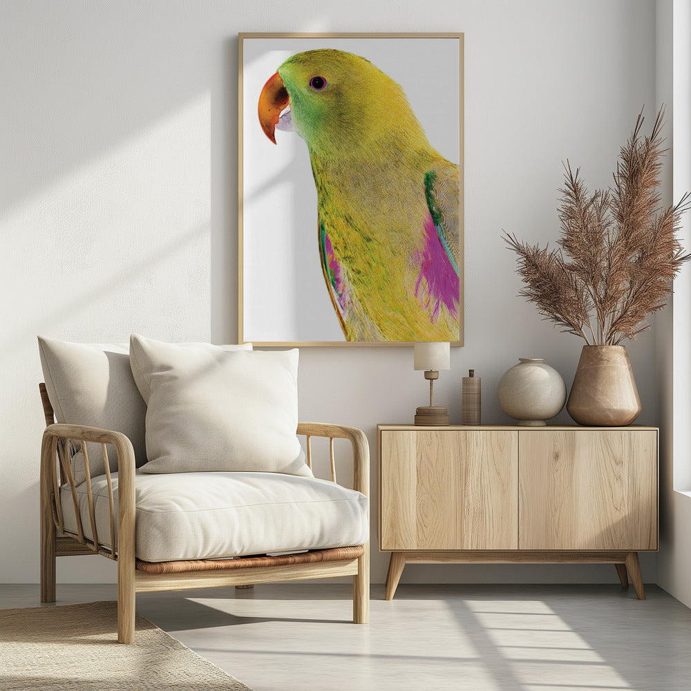 Vibrant Parrot Profile | Poster