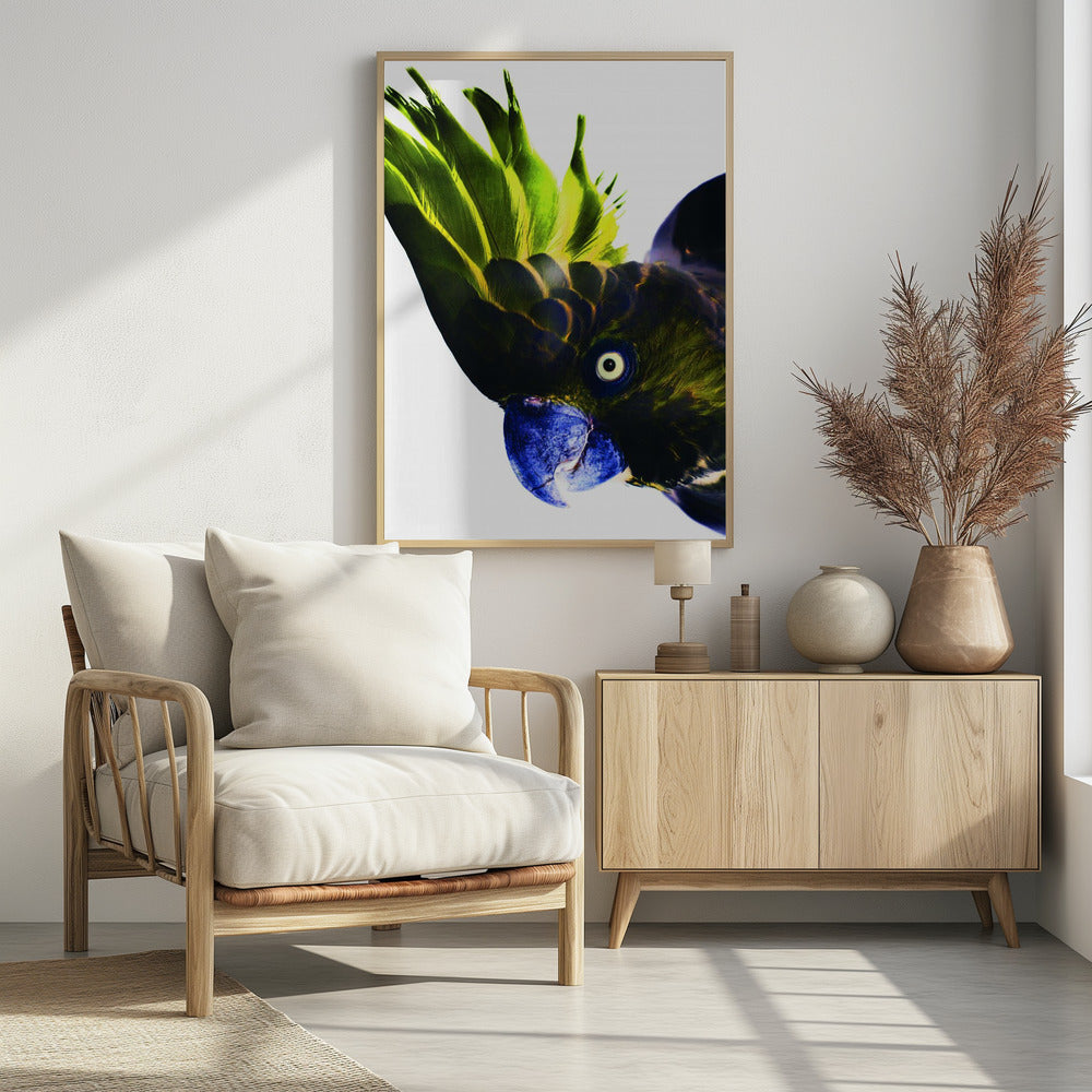Levendige vogelblik | Poster