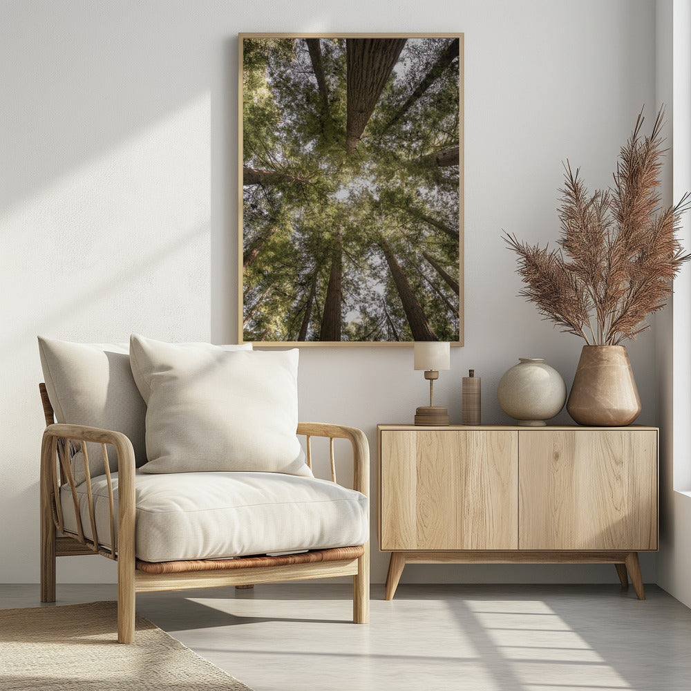 Schoonheid van de natuur | Poster
